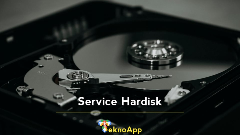 Service Hardisk