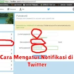 Cara Mengatur Notifikasi di Twitter