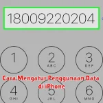 Cara Mengatur Penggunaan Data di iPhone