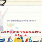 Cara Mengatur Penggunaan Data di Android