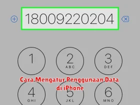 Cara Mengatur Penggunaan Data di iPhone