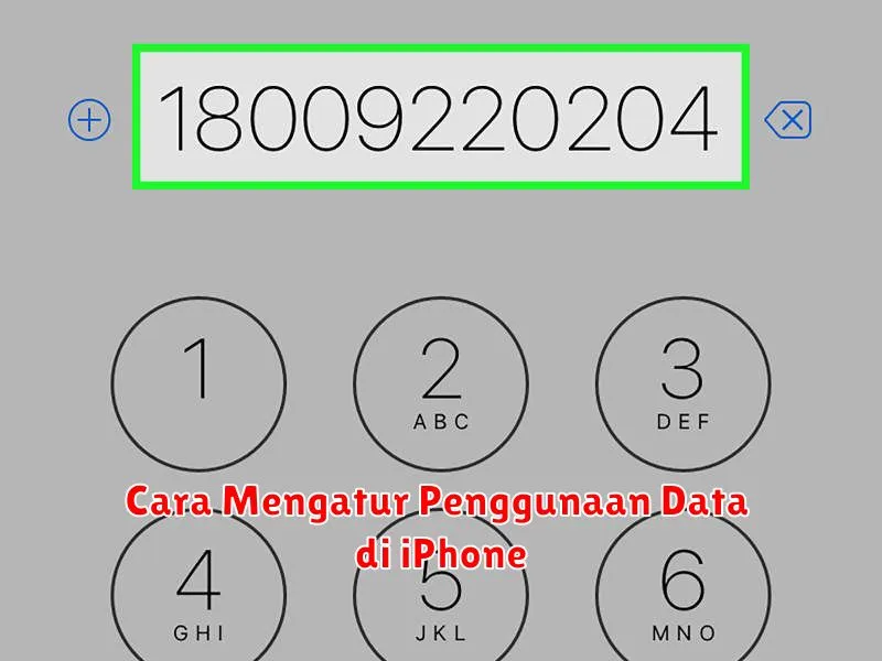 Cara Mengatur Penggunaan Data di iPhone