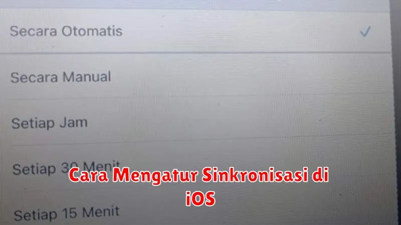 Cara Mengatur Sinkronisasi di iOS