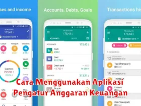 Cara Menggunakan Aplikasi Pengatur Anggaran Keuangan