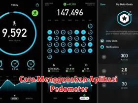 Cara Menggunakan Aplikasi Pedometer