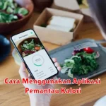 Cara Menggunakan Aplikasi Pemantau Kalori