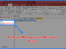 Panduan Menggunakan Microsoft Access