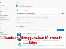 Panduan Menggunakan Microsoft Edge