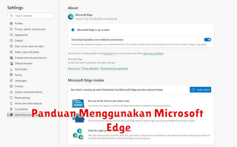 Panduan Menggunakan Microsoft Edge