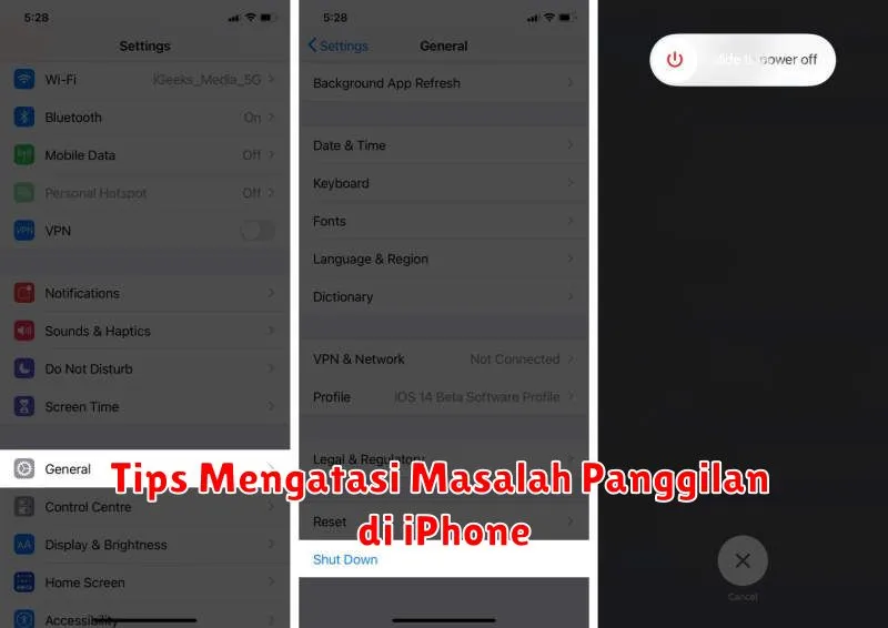 Tips Mengatasi Masalah Panggilan di iPhone