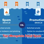 Tips Mengelola Email Spam